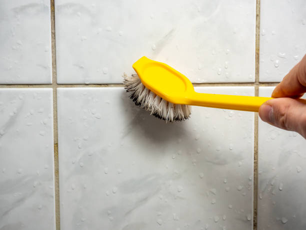 Best Mold Remediation  in Woodward, IA