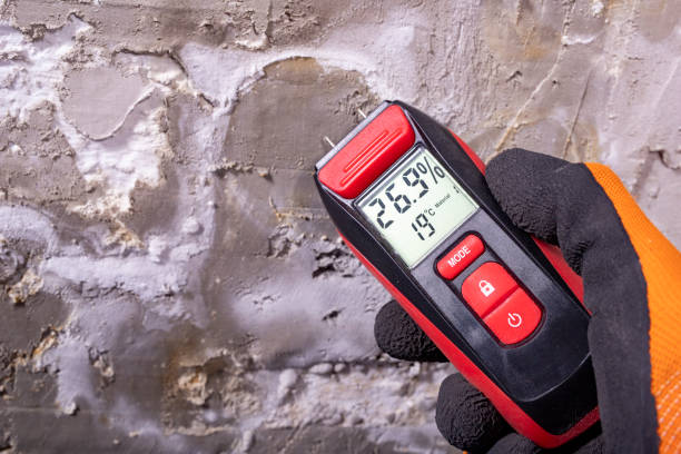 Best Attic Mold Removal  in Woodward, IA