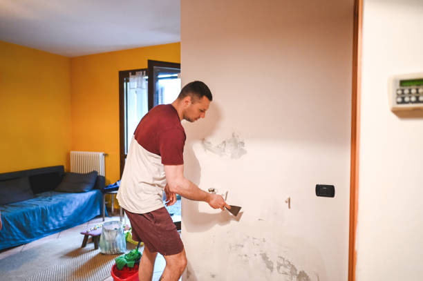 Mold Testing and Removal in Woodward, IA